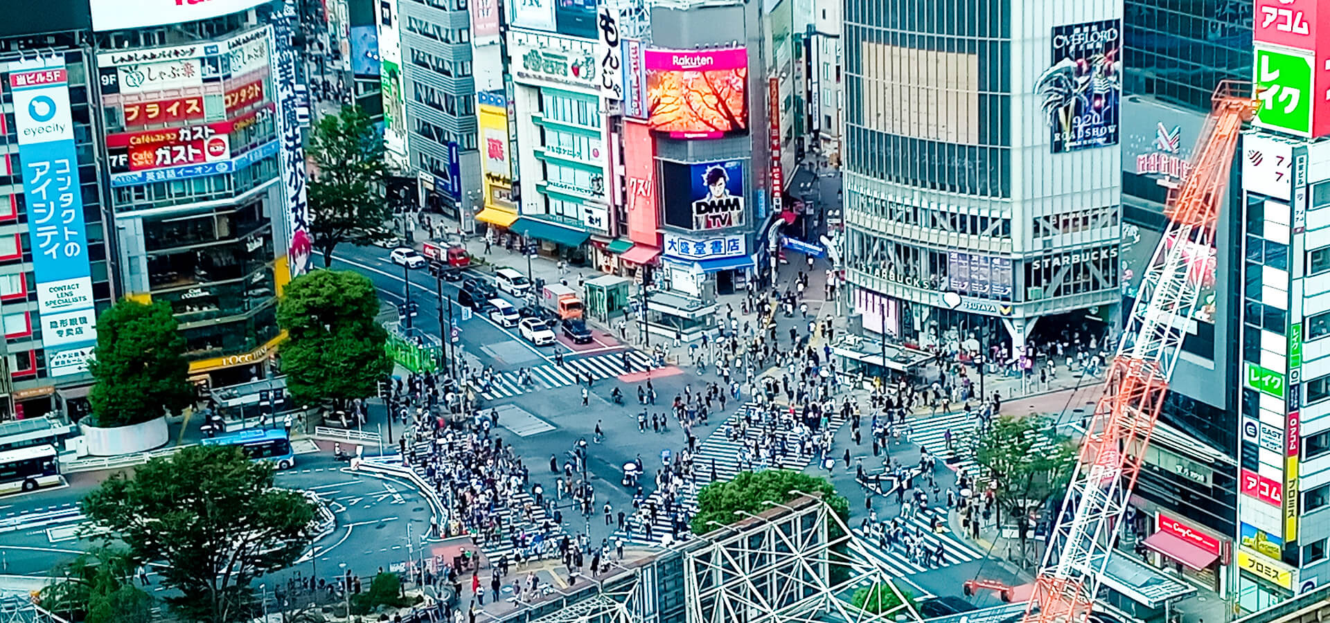 Tour Highlight Tokyo_shibuya